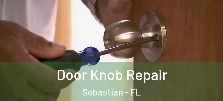 Door Knob Repair Sebastian - FL