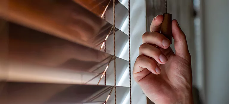 Double Roller Blinds in Sebastian, FL