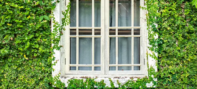 Garden Window Repair Near Me in Sebastian, FL