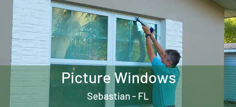 Picture Windows Sebastian - FL