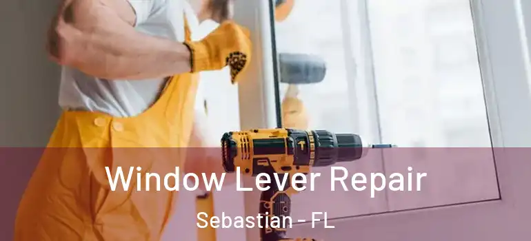 Window Lever Repair Sebastian - FL
