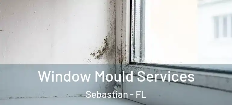 Window Mould Services Sebastian - FL